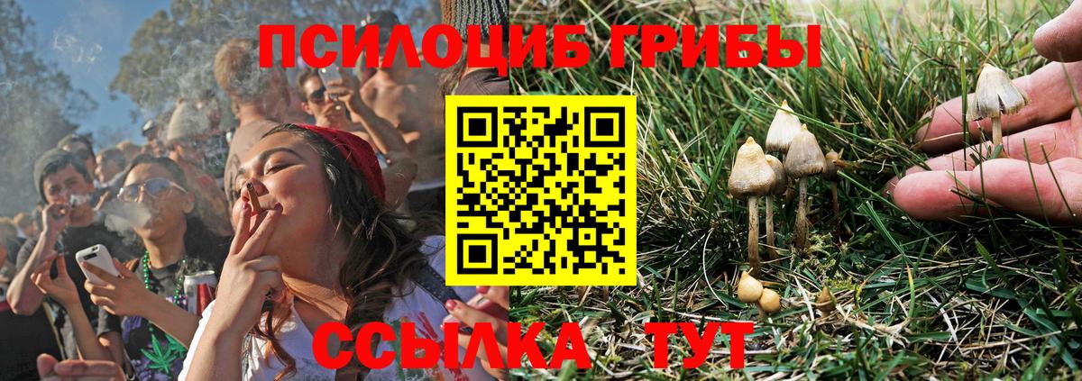 Галлюциногенные грибы GOLDEN TEACHER Зима